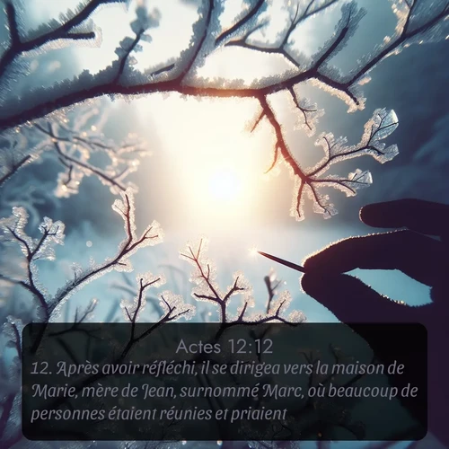 Segond Actes  ; image nature: image avec le verset biblique :Après avoir réfléchi, il se dirigea vers la maison de Marie, mère de Jean, surnommé Marc, où beaucoup de personnes étaient réunies et priaient. ;  ; 12:12