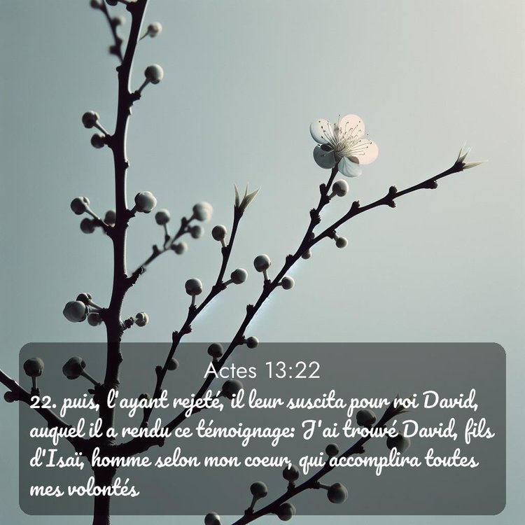 Segond Actes 13:22