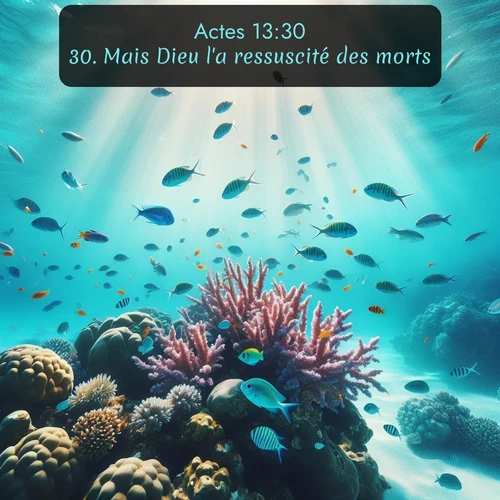 Segond Actes  ; image nature: image avec le verset biblique :Mais Dieu l&#039;a ressuscité des morts. ;  ; 13:30