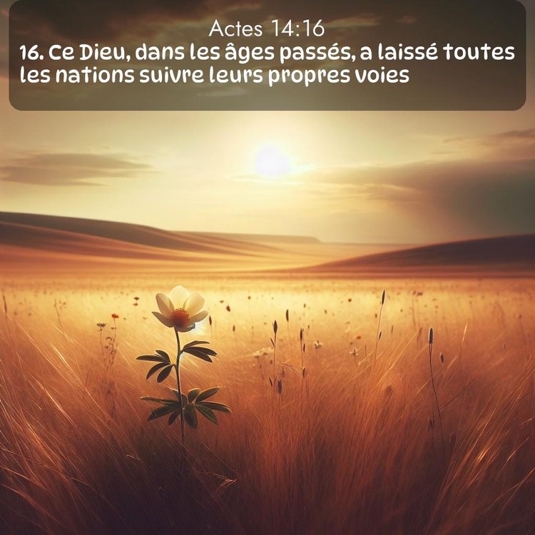 Segond Actes 14:16