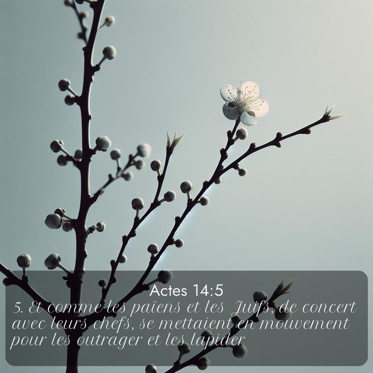 Segond Actes 14:5