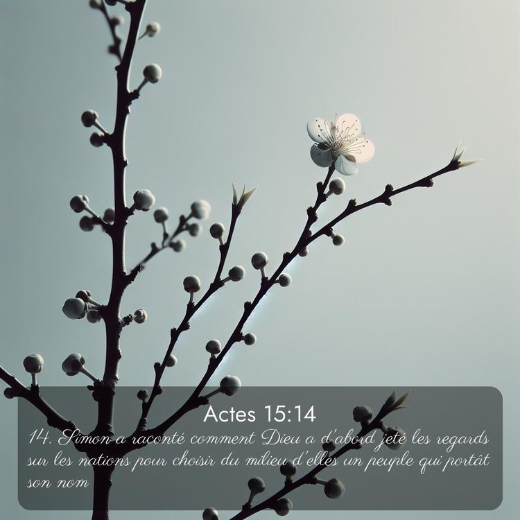 image nature avec verset biblique de la Bible