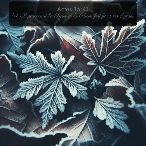 Segond Actes  ; image nature: image avec le verset biblique :Il parcourut la Syrie et la Cilicie, fortifiant les Eglises. ;  ; 15:41