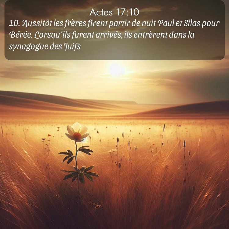 Segond Actes 17:10