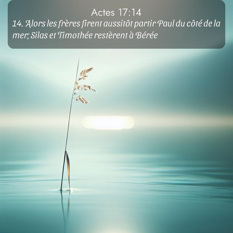 Segond Actes 17:14