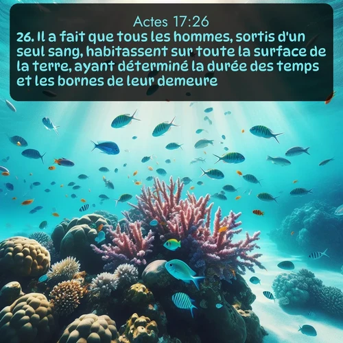 Segond Actes  ; image nature: image avec le verset biblique :Il a fait que tous les hommes, sortis d&#039;un seul sang, habitassent sur toute la surface de la terre, ayant déterminé la durée des temps et les bornes de leur demeure; ;  ; 17:26