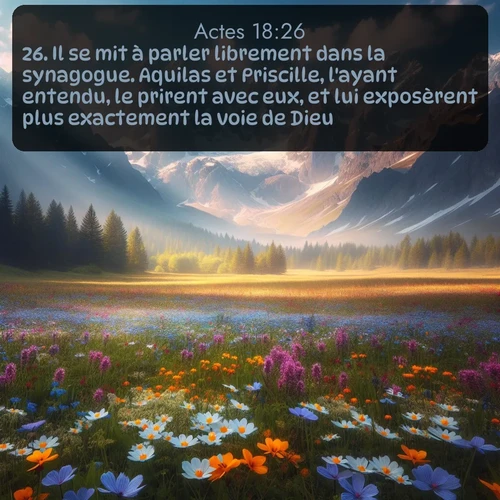 Segond Actes  ; image nature: image avec le verset biblique :Il se mit à parler librement dans la synagogue. Aquilas et Priscille, l&#039;ayant entendu, le prirent avec eux, et lui exposèrent plus exactement la voie de Dieu. ;  ; 18:26