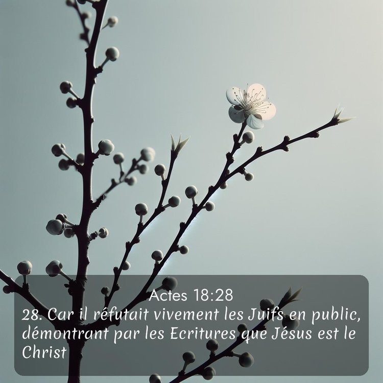 Segond Actes 18:28