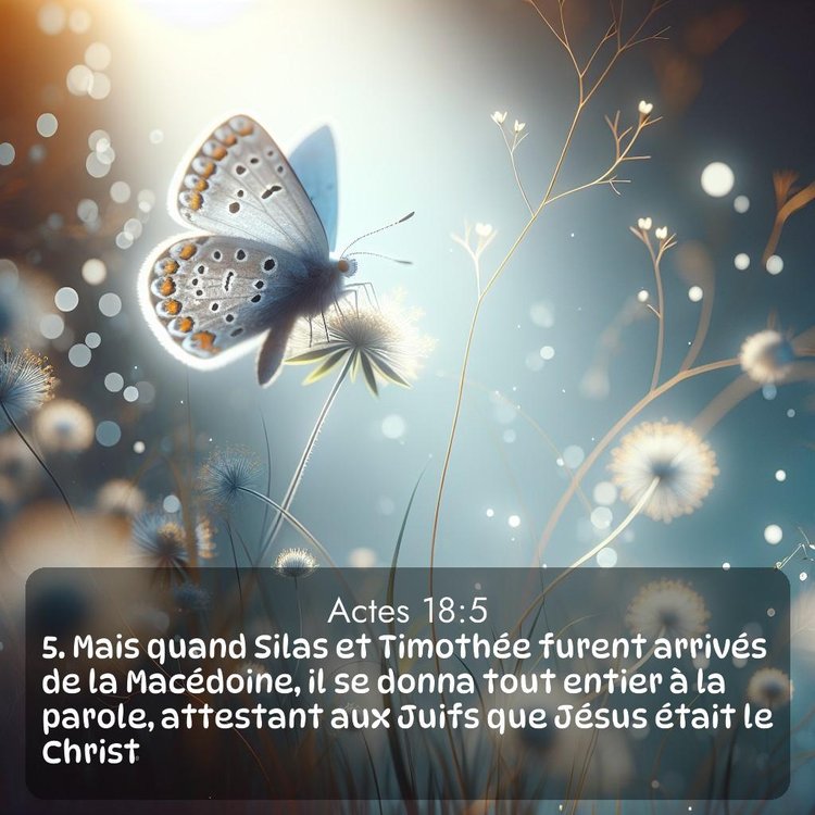 Segond Actes 18:5