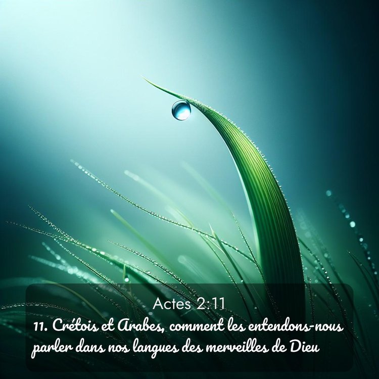 Segond Actes 2:11