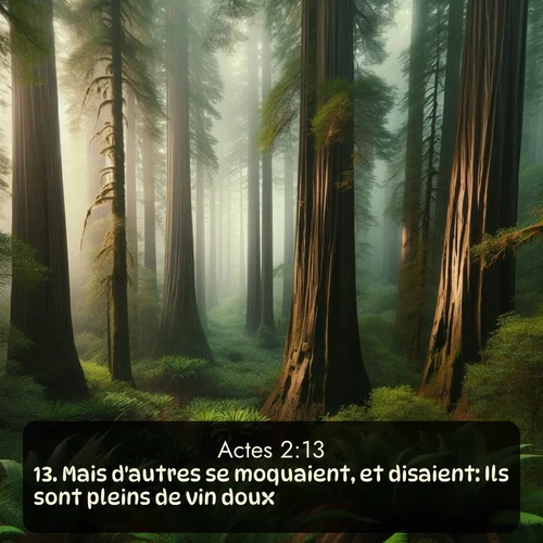 Segond Actes  ; image nature: image avec le verset biblique :Mais d&#039;autres se moquaient, et disaient: Ils sont pleins de vin doux. ;  ; 2:13