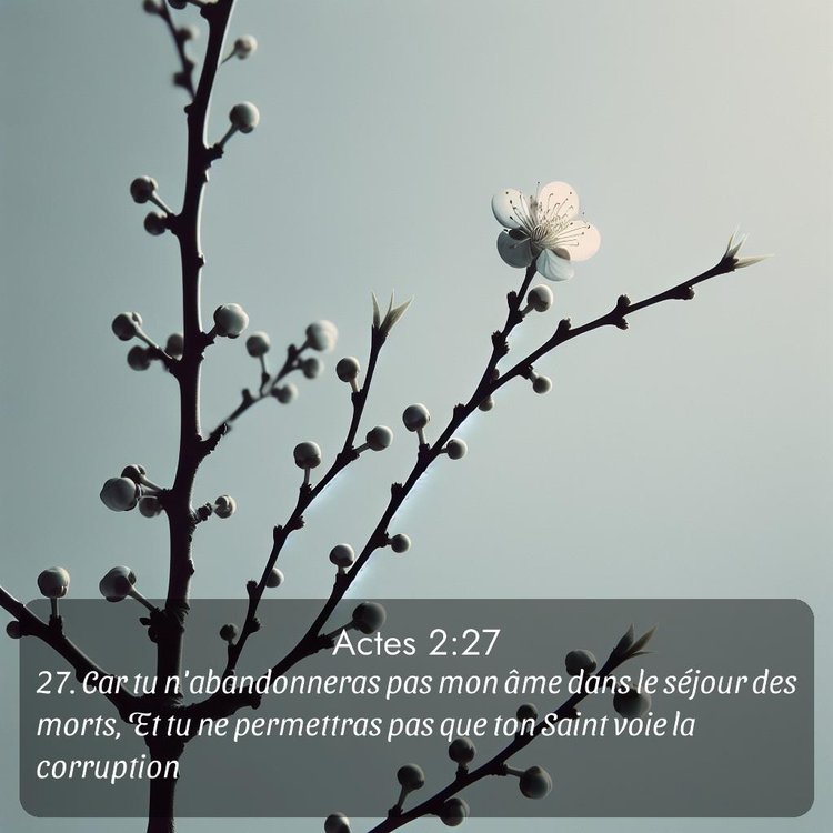 Segond Actes 2:27