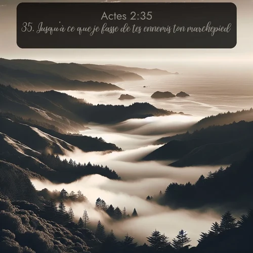 Segond Actes  ; image nature: image avec le verset biblique :Jusqu&#039;à ce que je fasse de tes ennemis ton marchepied. ;  ; 2:35