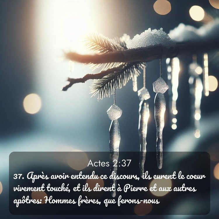 image nature avec verset biblique de la Bible