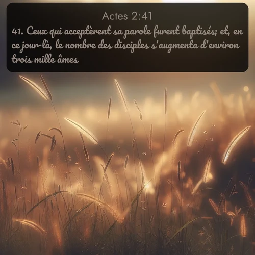 Segond Actes  ; image nature: image avec le verset biblique :Ceux qui acceptèrent sa parole furent baptisés; et, en ce jour-là, le nombre des disciples s&#039;augmenta d&#039;environ trois mille âmes. ;  ; 2:41