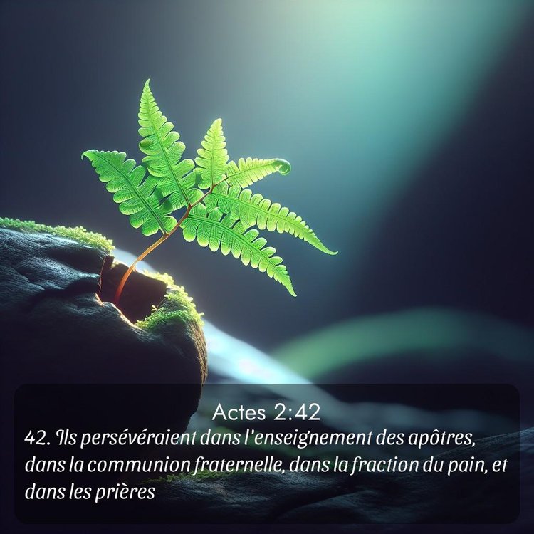 Segond Actes 2:42