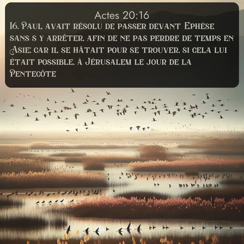 Segond Actes  ; image nature: image avec le verset biblique :Paul avait résolu de passer devant Ephèse sans s&#039;y arrêter, afin de ne pas perdre de temps en Asie; car il se hâtait pour se trouver, si cela lui était possible, à Jérusalem le jour de la Pentecôte. ;  ; 20:16