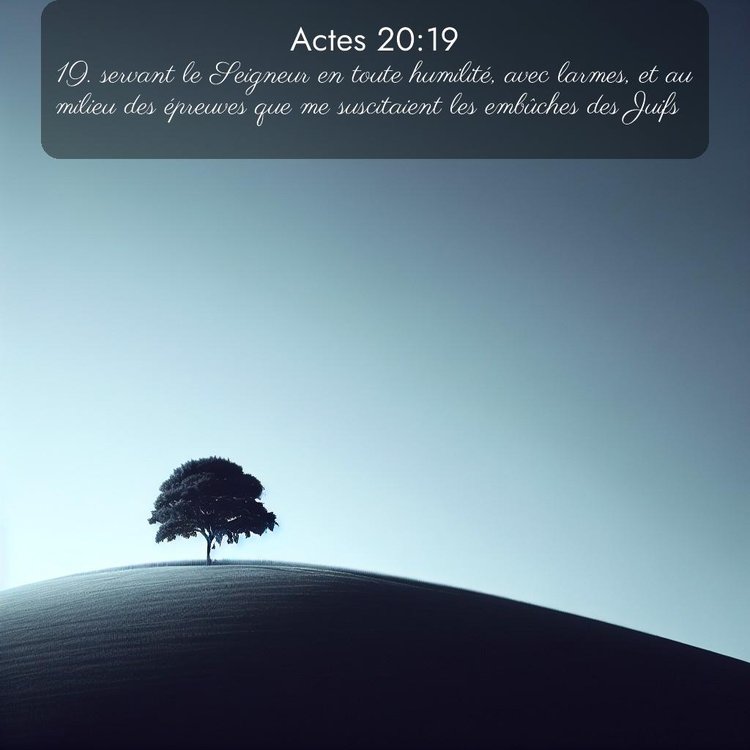 Segond Actes 20:19