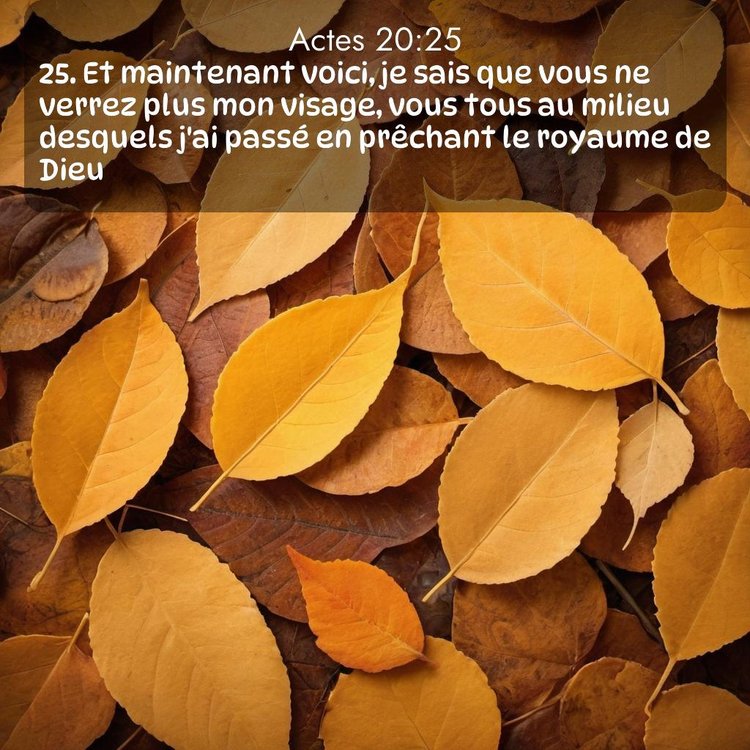 Segond Actes 20:25