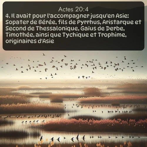 Segond Actes  ; image nature: image avec le verset biblique :Il avait pour l&#039;accompagner jusqu&#039;en Asie: Sopater de Bérée, fils de Pyrrhus, Aristarque et Second de Thessalonique, Gaïus de Derbe, Timothée, ainsi que Tychique et Trophime, originaires d&#039;Asie. ;  ; 20:4