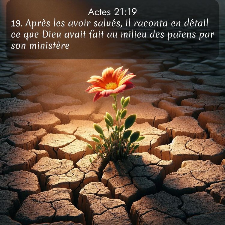 Segond Actes 21:19