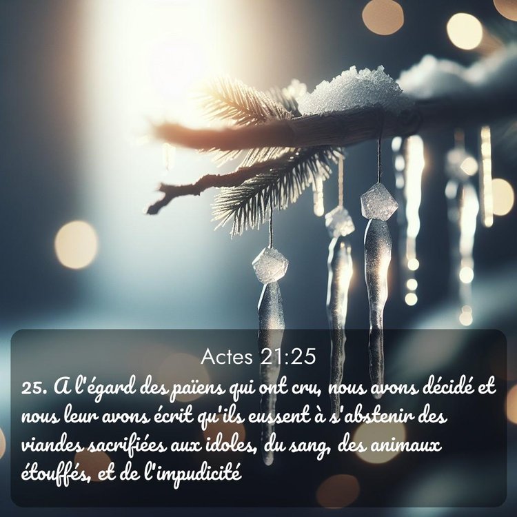 Segond Actes 21:25