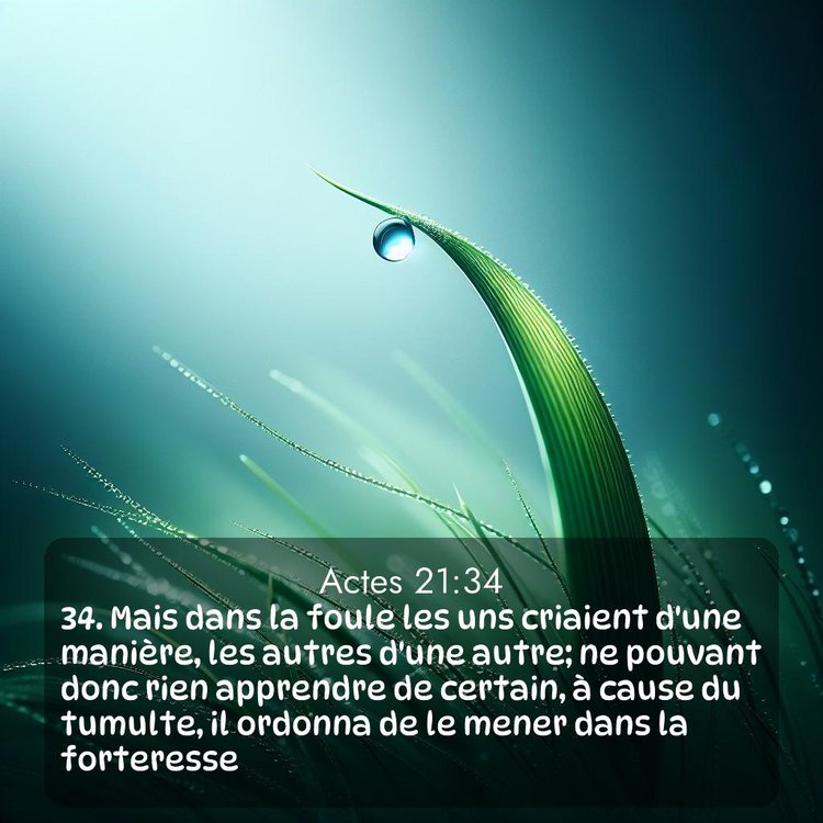 Segond Actes 21:34