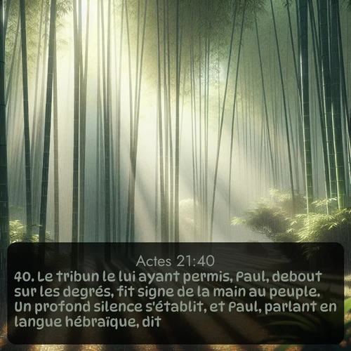 Segond Actes  ; image nature: image avec le verset biblique :Le tribun le lui ayant permis, Paul, debout sur les degrés, fit signe de la main au peuple. Un profond silence s&#039;établit, et Paul, parlant en langue hébraïque, dit: ;  ; 21:40