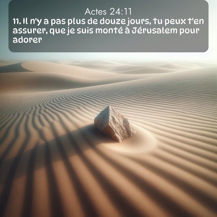 Segond Actes 24:11