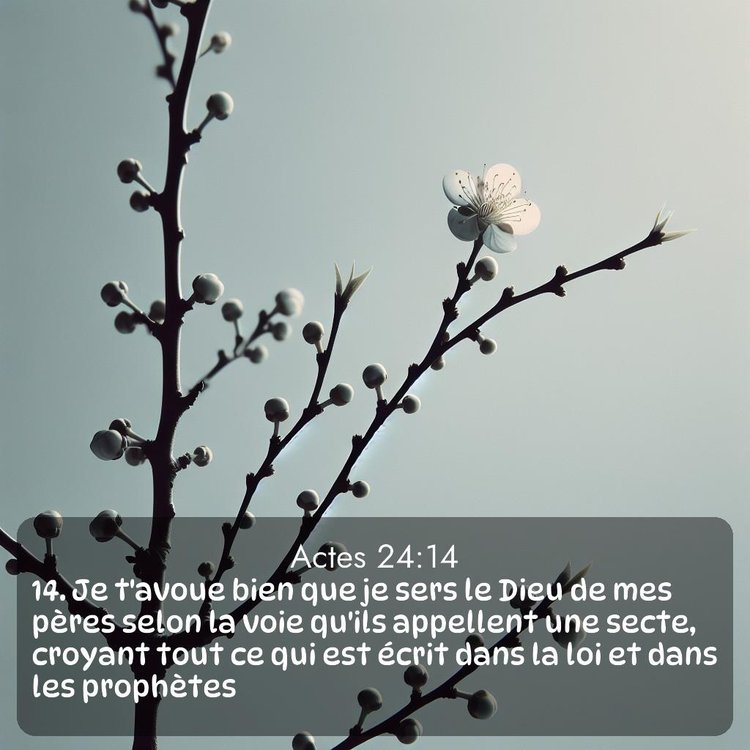 Segond Actes 24:14