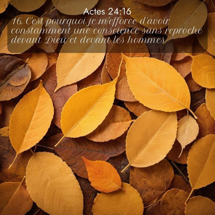 Segond Actes 24:16