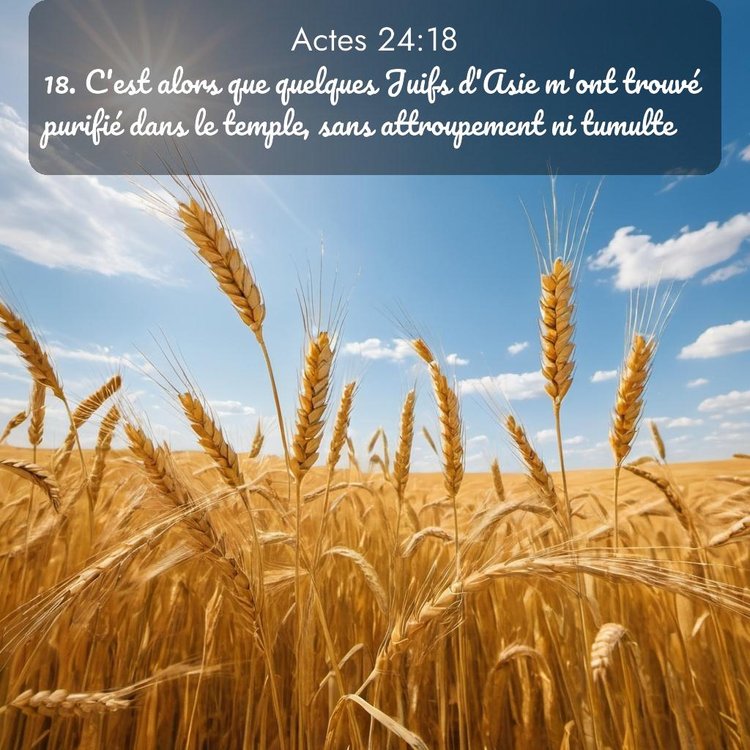 Segond Actes 24:18