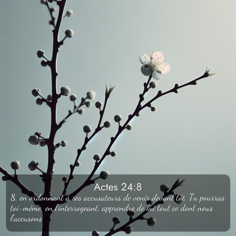 Segond Actes 24:8