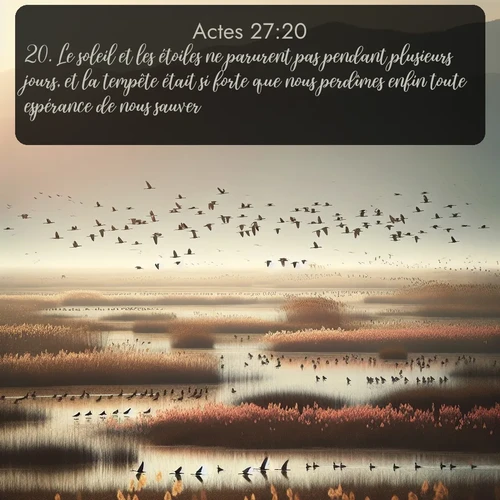 Segond Actes  ; image nature: image avec le verset biblique :Le soleil et les étoiles ne parurent pas pendant plusieurs jours, et la tempête était si forte que nous perdîmes enfin toute espérance de nous sauver. ;  ; 27:20