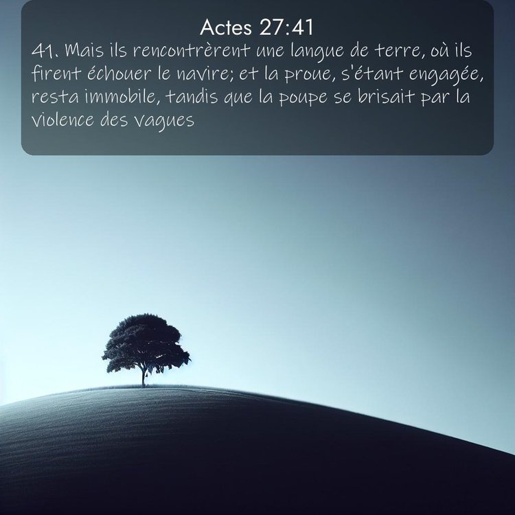 Segond Actes 27:41