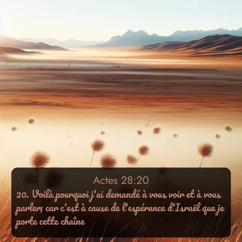 Segond Actes  ; image nature: image avec le verset biblique :Voilà pourquoi j&#039;ai demandé à vous voir et à vous parler; car c&#039;est à cause de l&#039;espérance d&#039;Israël que je porte cette chaîne. ;  ; 28:20
