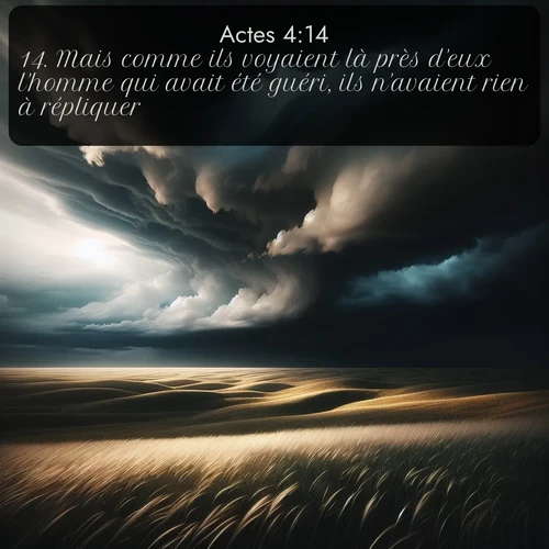 Segond Actes  ; image nature: image avec le verset biblique :Mais comme ils voyaient là près d&#039;eux l&#039;homme qui avait été guéri, ils n&#039;avaient rien à répliquer. ;  ; 4:14