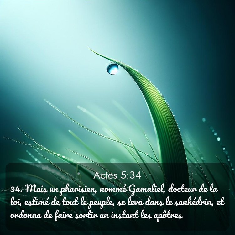 Segond Actes 5:34