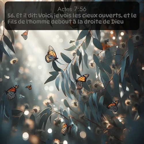 Segond Actes  ; image nature: image avec le verset biblique :Et il dit: Voici, je vois les cieux ouverts, et le Fils de l&#039;homme debout à la droite de Dieu. ;  ; 7:56