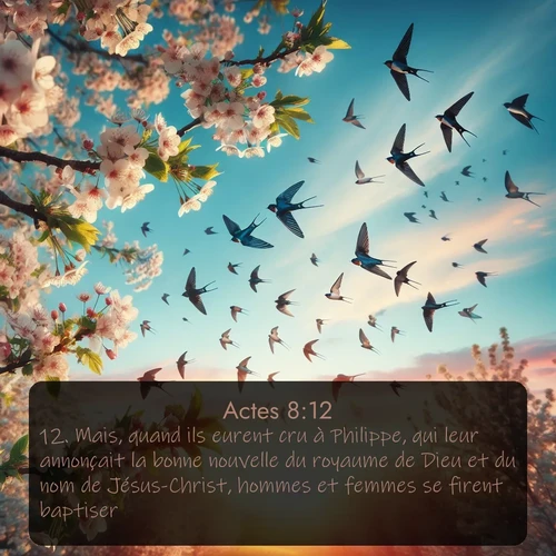 Segond Actes  ; image nature: image avec le verset biblique :Mais, quand ils eurent cru à Philippe, qui leur annonçait la bonne nouvelle du royaume de Dieu et du nom de Jésus-Christ, hommes et femmes se firent baptiser. ;  ; 8:12