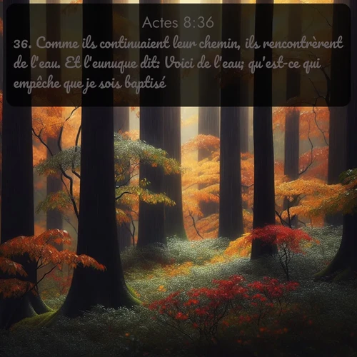 Segond Actes  ; image nature: image avec le verset biblique :Comme ils continuaient leur chemin, ils rencontrèrent de l&#039;eau. Et l&#039;eunuque dit: Voici de l&#039;eau; qu&#039;est-ce qui empêche que je sois baptisé? ;  ; 8:36
