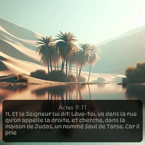 Segond Actes  ; image nature: image avec le verset biblique :Et le Seigneur lui dit: Lève-toi, va dans la rue qu&#039;on appelle la droite, et cherche, dans la maison de Judas, un nommé Saul de Tarse. Car il prie, ;  ; 9:11