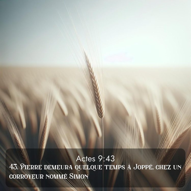 Segond Actes 9:43