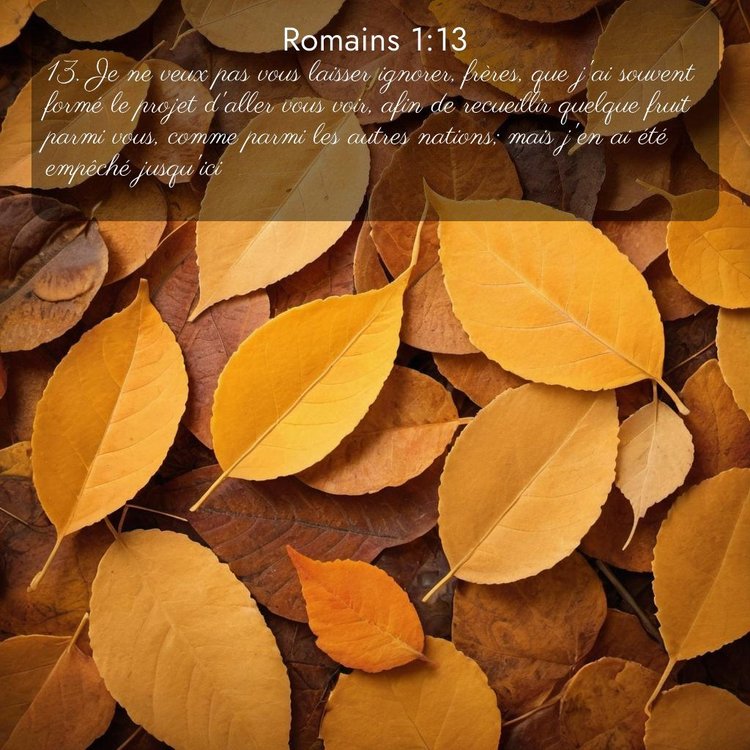 Segond Romains 1:13