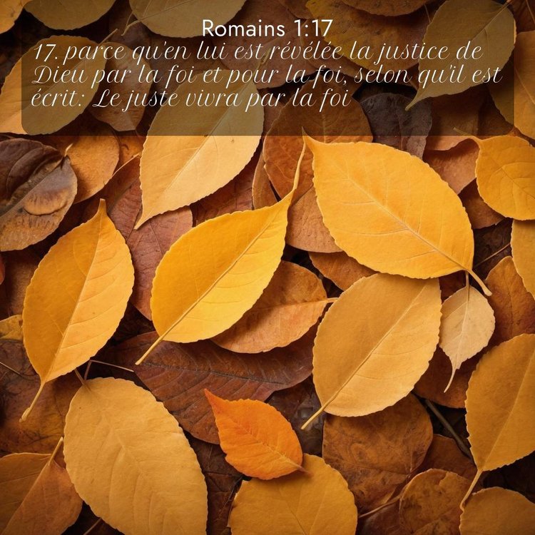 Segond Romains 1:17