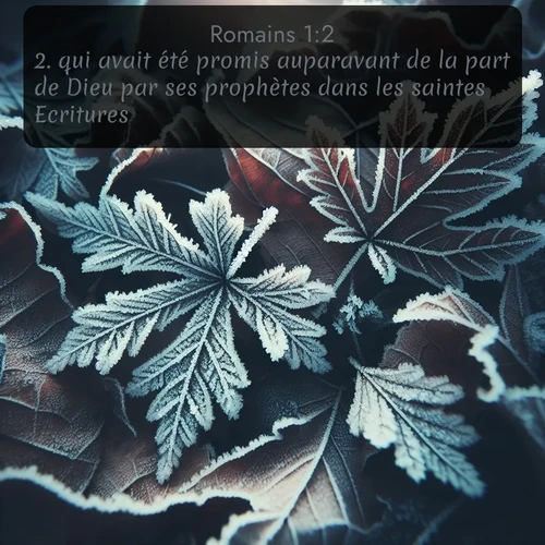 Segond 45 1:2