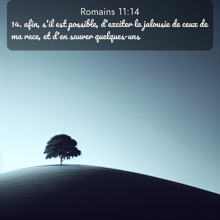 Segond Romains 11:14