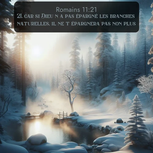 Segond Romains  ; image nature: image avec le verset biblique :car si Dieu n&#039;a pas épargné les branches naturelles, il ne t&#039;épargnera pas non plus. ;  ; 11:21