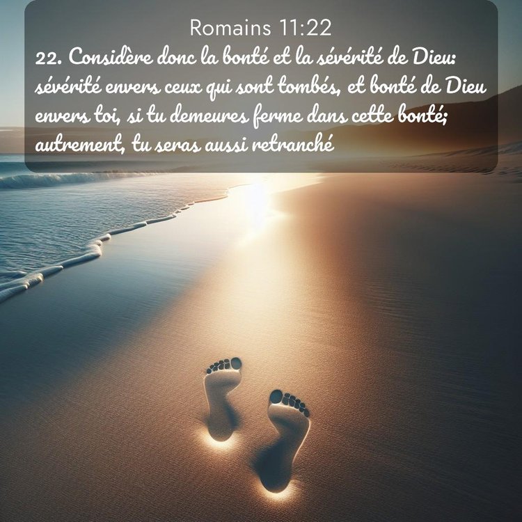 Segond Romains 11:22