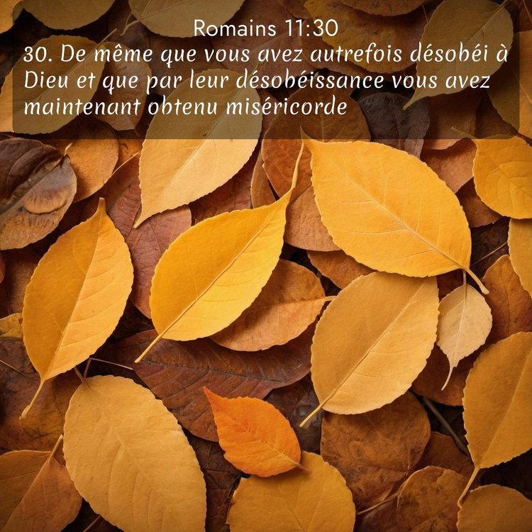 image nature avec verset biblique de la Bible